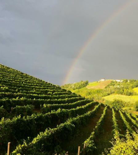 Agroturismo La Cascina Del Castello