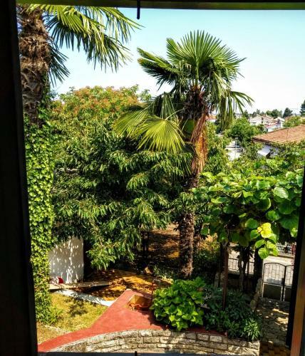 Apartman Maslina