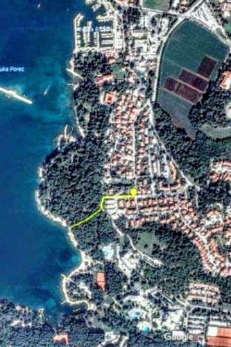 Apartman Maslina
