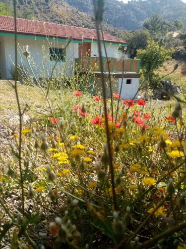 Hotel ?ztuzu Homes
