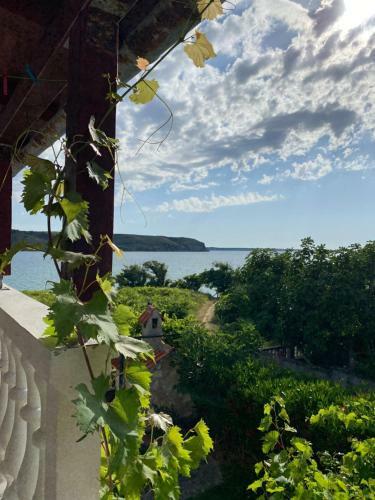 Villa Sabina - Apartments Kroatien