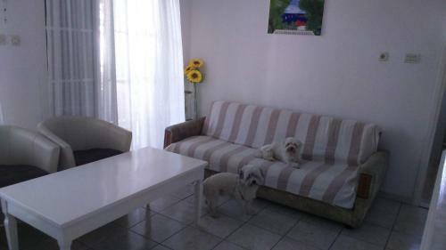 Lucija Apartmani