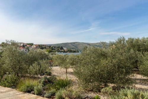 Apartamentos Villa Olive