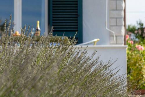 Apartamentos Villa Olive