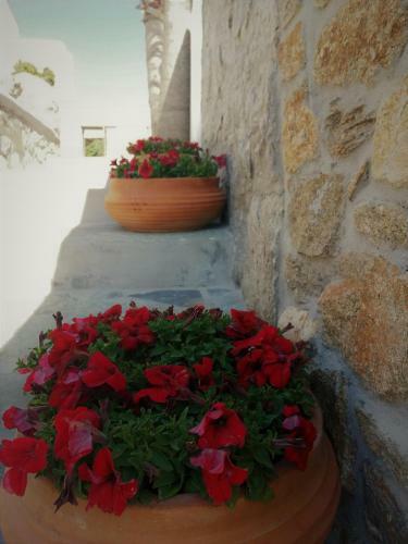 Apartamento Kipos Villas & Suites
