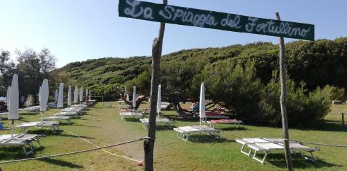 Apartamento Monolocale In Residence