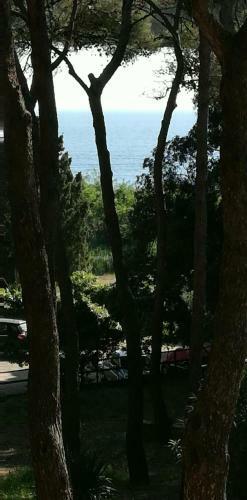 Apartamento Monolocale In Residence