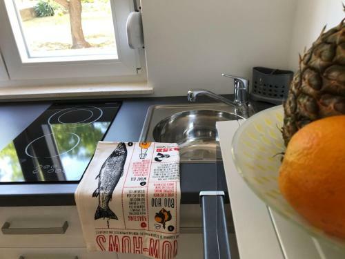 Studio Apartman Fani