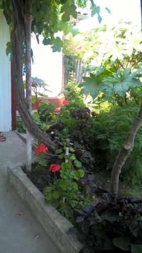 Hostal Casa Ancora Sulina