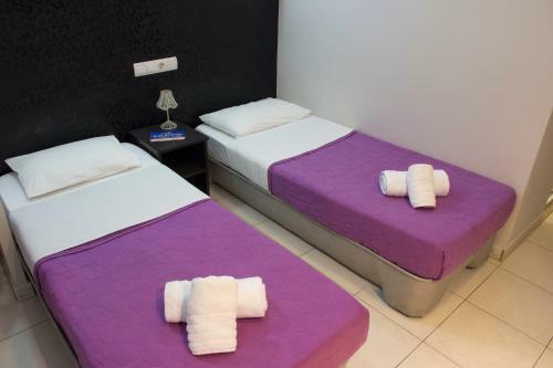 Hotel Erato