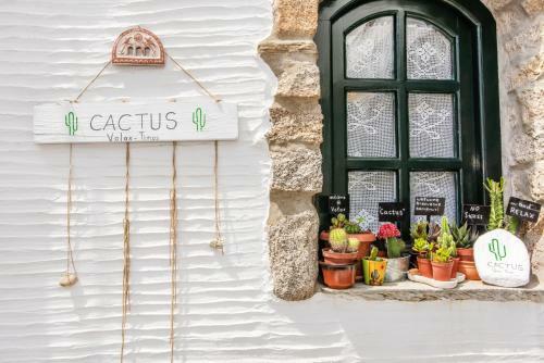 Apartamento ''cactus'' Traditional House