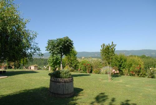 Villa Castello II