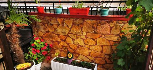 Hotel Apartments Erato