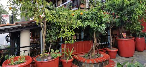 Hotel Apartments Erato