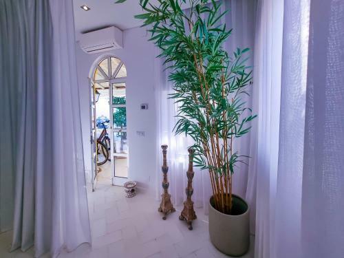 Apartamento Flh Alvor Rooftop With Bay View