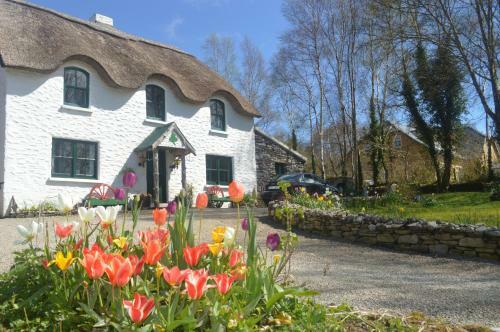 Bed & Breakfast Lissyclearig Thatched Cottage