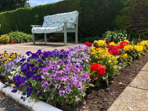 Park South Bed & Breakfast
