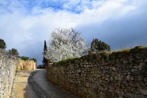 Bed & Breakfast La Chabotine