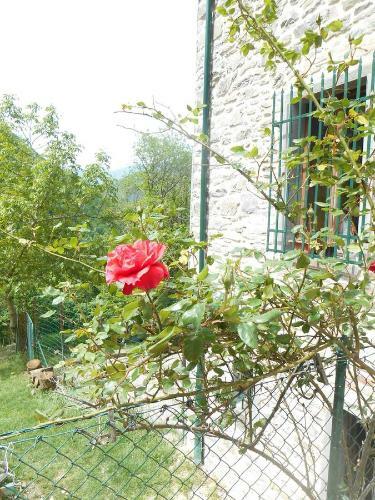 Agroturismo La Casa Nel Bosco-senza Auto