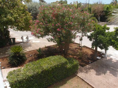 Sulle Tracce Di Montalbano Loft