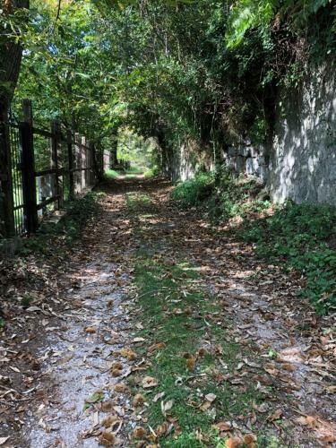 Apartamento Peschiera Sweet Home