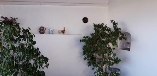 Apartamento Casa Serro Dell'acqua