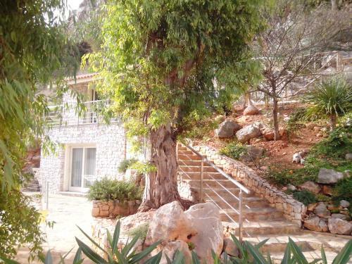 Apartamento Calamancina