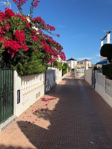 Bungalow In Los Altos (punta Prima)