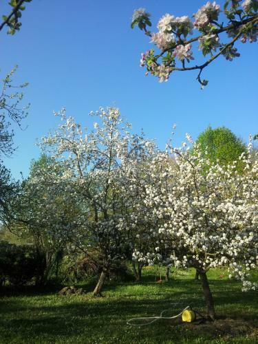 Maison En Pierre � La Campagne