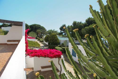 Apartamento Residence Girasole