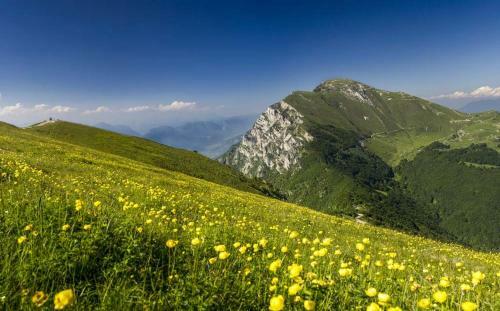 Albergue Hotel Monte Baldo