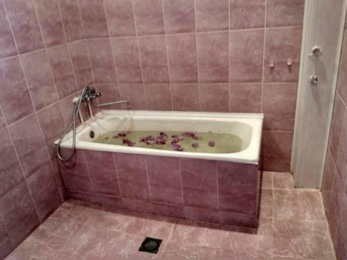 Hostal Samvel's Guest House