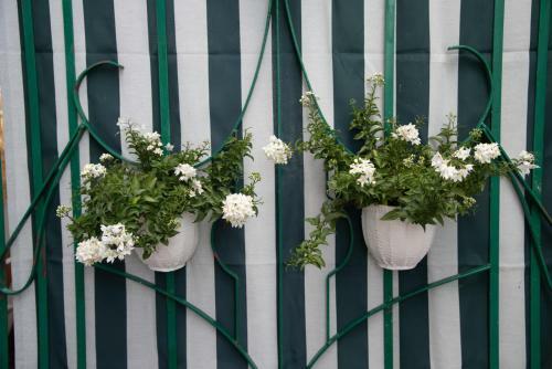 B&B Floris