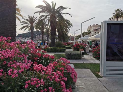 Villa Ku?a Za Odmor Mater
