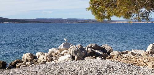 Apartamento Tola Crikvenica