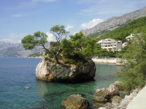 Hostal Apartment & Rooms Laura