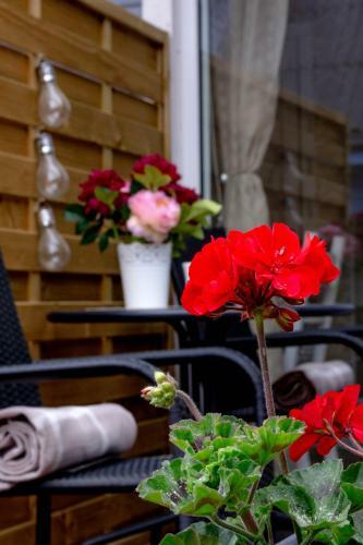 Apartamento Love Nest Place
