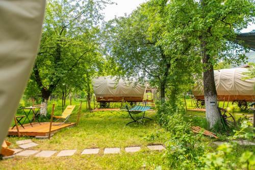 Dragonfly Gardens Urban Glamping Brasov