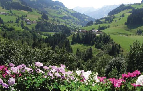 Apartment Au Grossarl IV