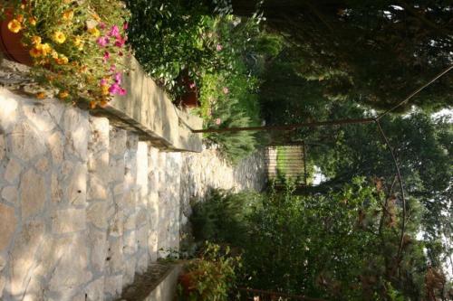 Apartamentos Villa Stefi (30m From The Sea)