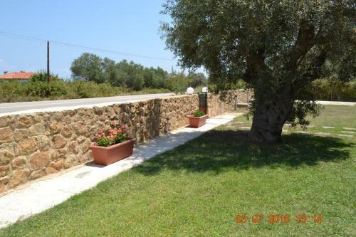 Family Villas