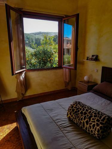 Bed & Breakfast Lune D'africa