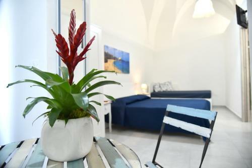 Bed & Breakfast La Nassa