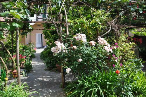 Hostal Serafina