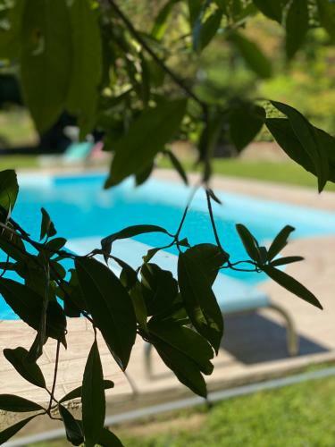 Bed & Breakfast La Giorgetta