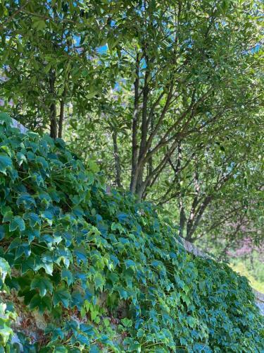 Bed & Breakfast La Giorgetta