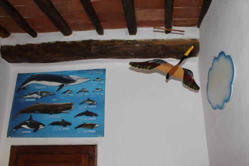 Apartamento Casa Alice