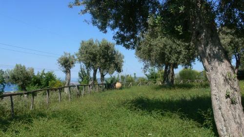 Agroturismo Agriturismo Serre