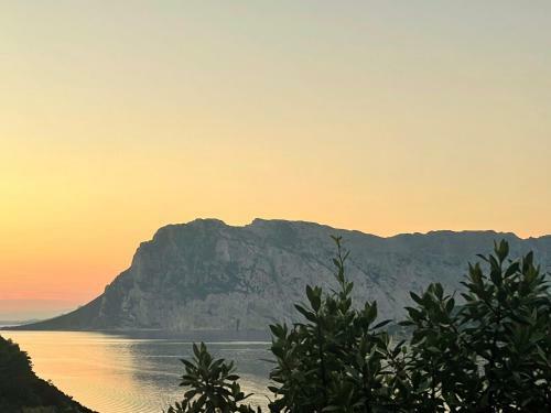 Apartamento San Teodoro Punta Est Bilocale Vista Mare