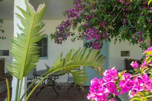 Agroturismo Habitaciones La Vega